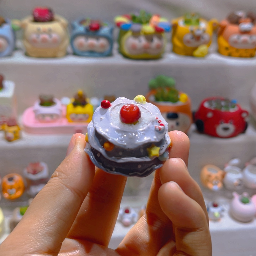 006高端多肉带盆土一套38