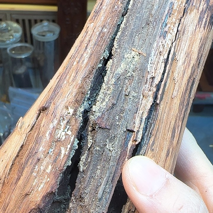 2****8降真香定制不退换