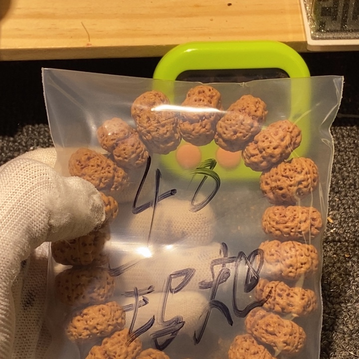 玛***卡金刚菩提吊坠好喜欢看肖