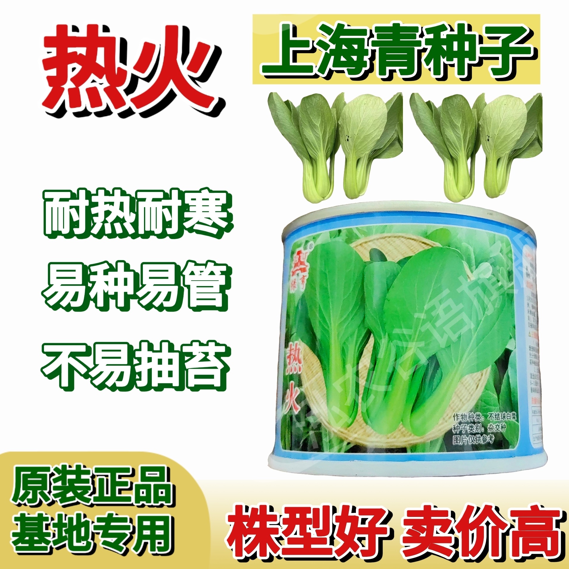 不结球白菜种子青梗菜种上海青种籽热火耐热夏季种植基地专用原装