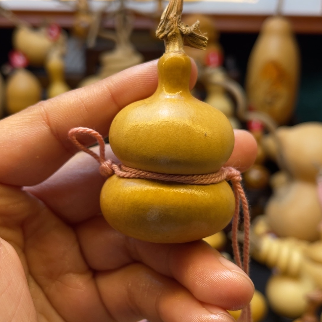 大***?葫芦等经济林木的生长繁殖方式为主要特点