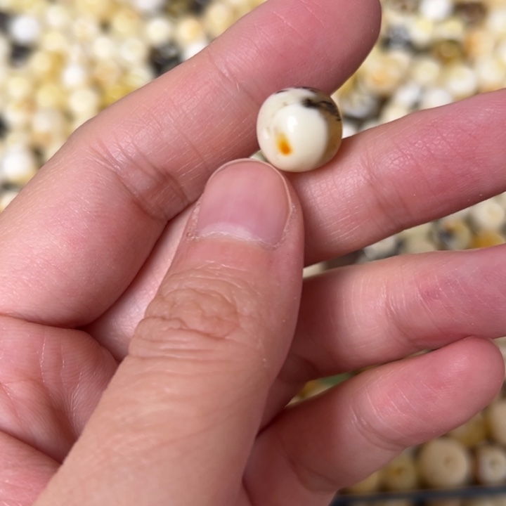 蜜蜡未镶嵌裸石11.3mm一个