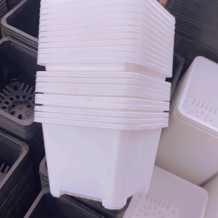 120白方盆11公分高8公分12个