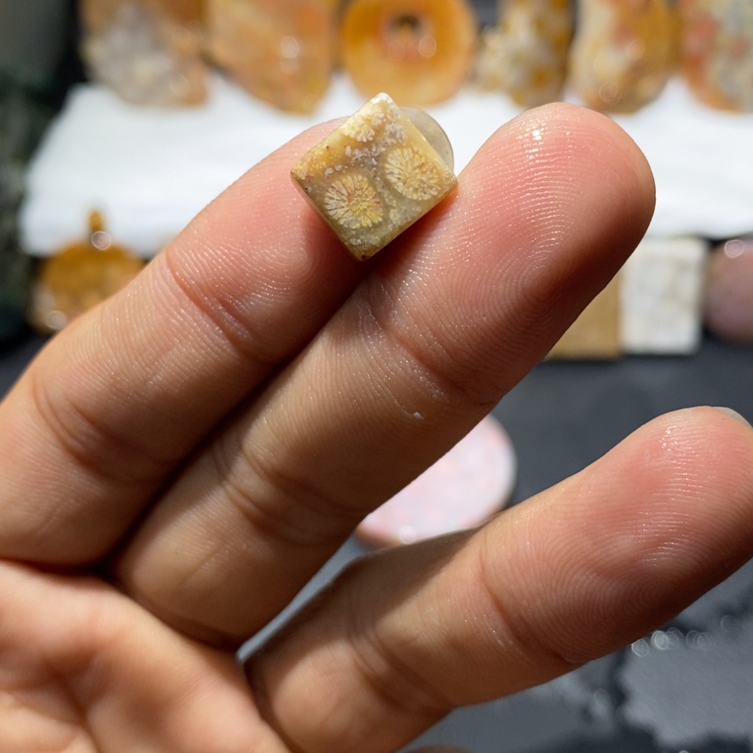 【闪购商品】硅化玉颈饰未镶嵌