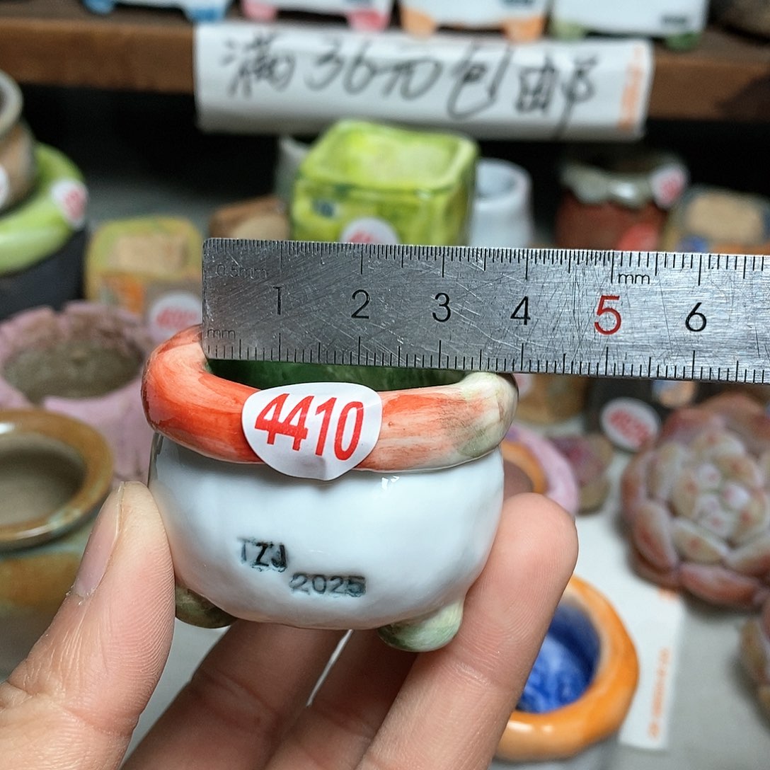 红陶神**咩拍5送一个小