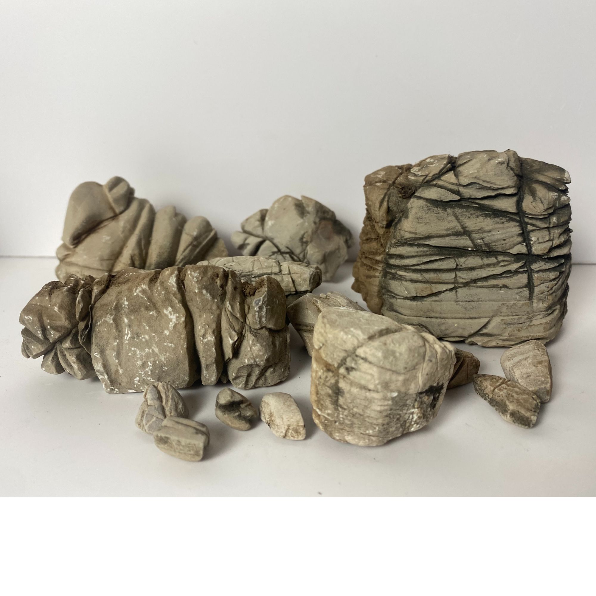 盆景龟纹石附石树石水旱山水盆景