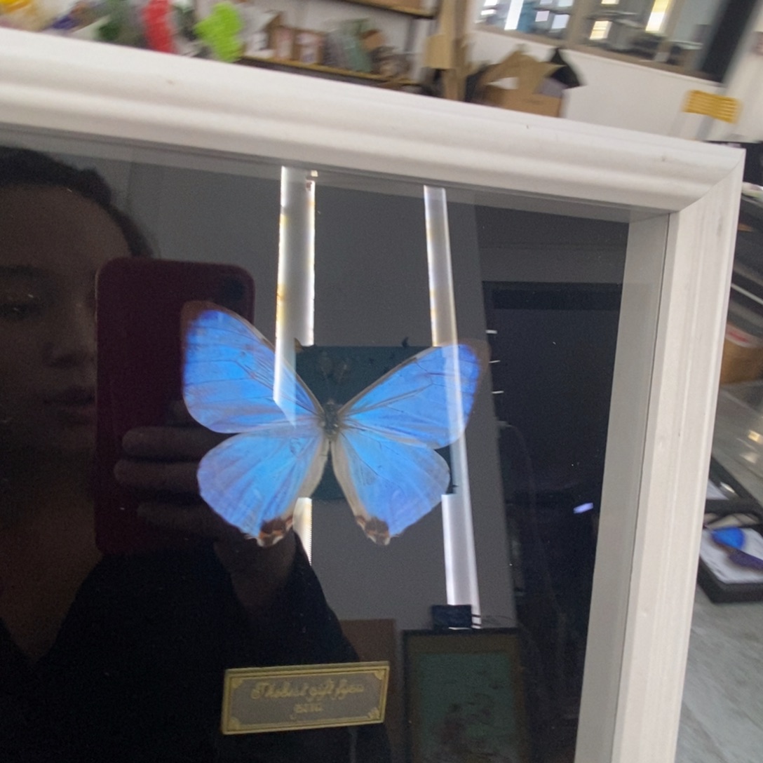 双层款铝合金111111