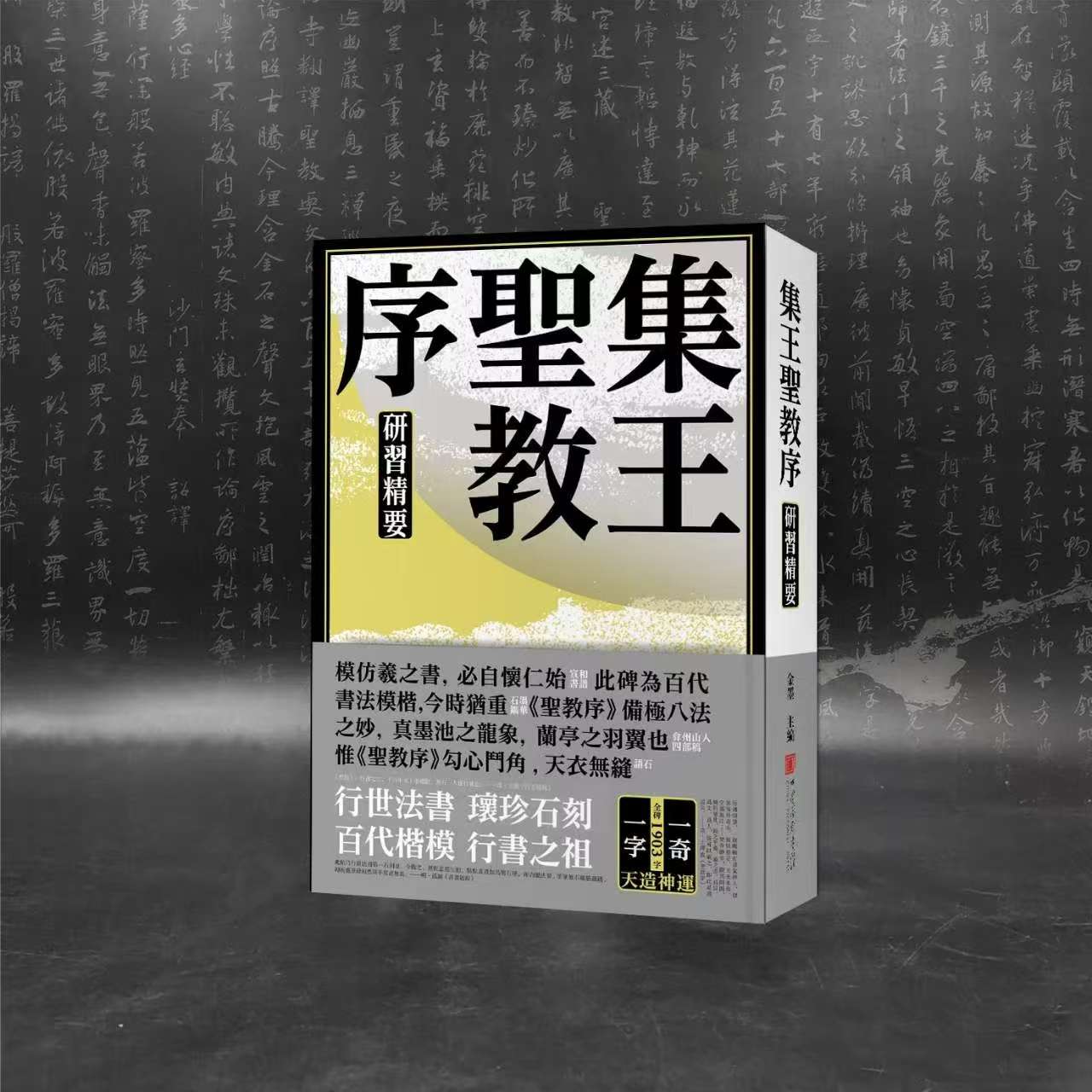 【长乐书斋】原石十倍《集王圣教序 研习精要》大16开 600页 书法字帖