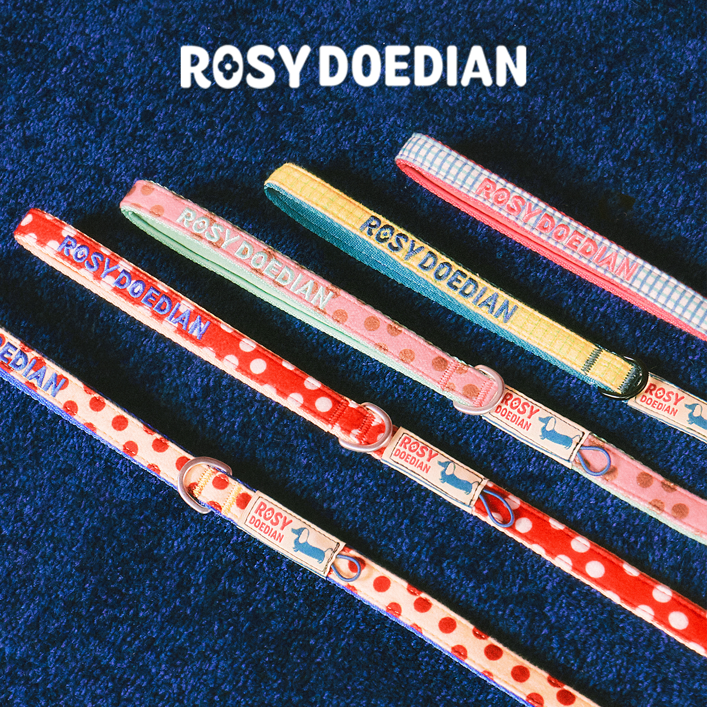 ROSYDOEDIAN「跑不脱系列 宠物项圈+牵引绳」合适中小型狗狗