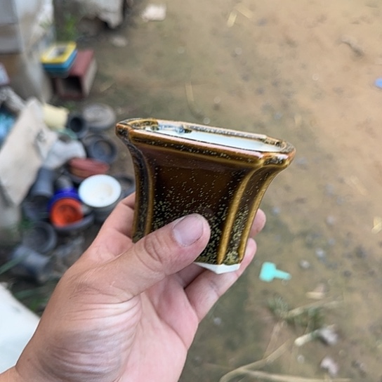 这几句真的好好哭一整集