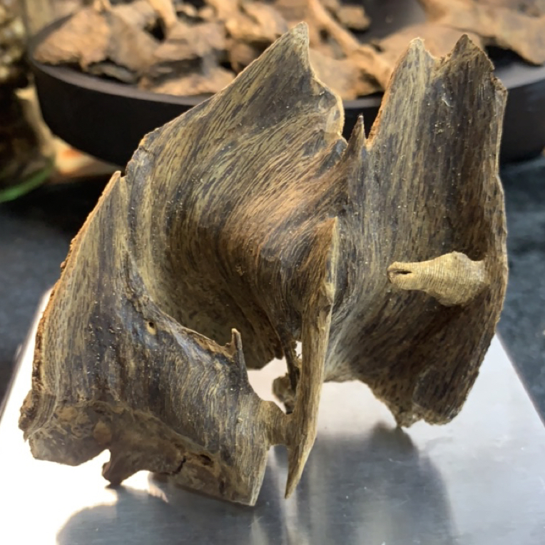 手工艺非遗雕塑工艺天然蚂蚁漏木心油香根雕制品