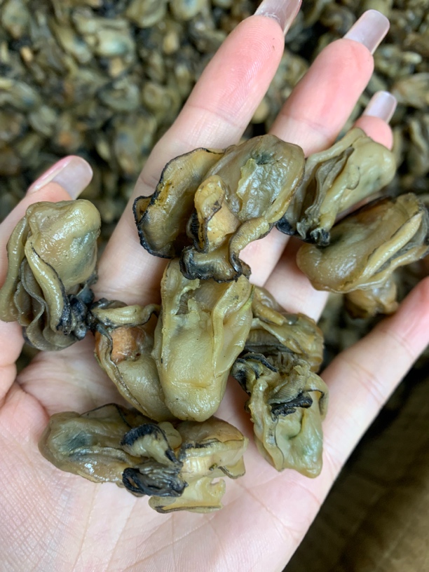 【蚝西施海味】汕尾本港小金蚝干包邮