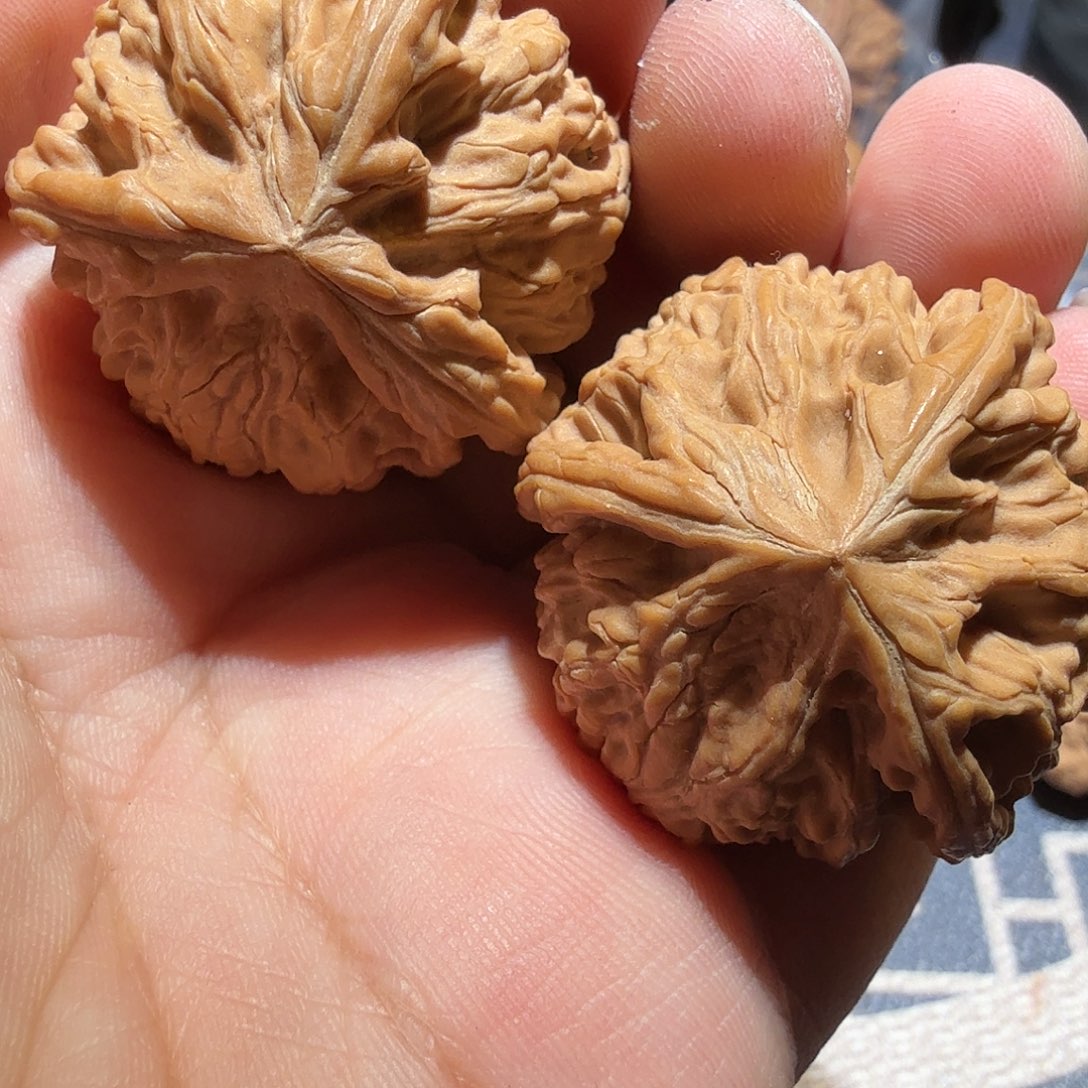 文玩核桃把件彭****店御龙