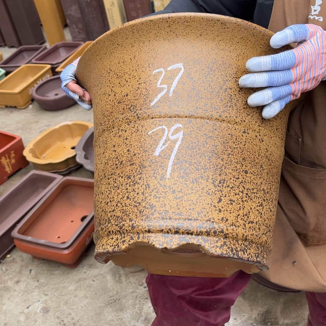 紫砂花盆盆景艺术