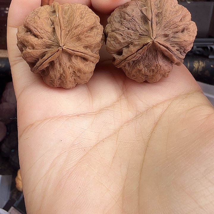 文玩核桃吊坠矮壮七彩南瓜三棱34