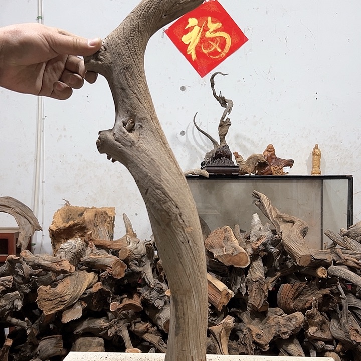 柏木大*我们的生活是以自己