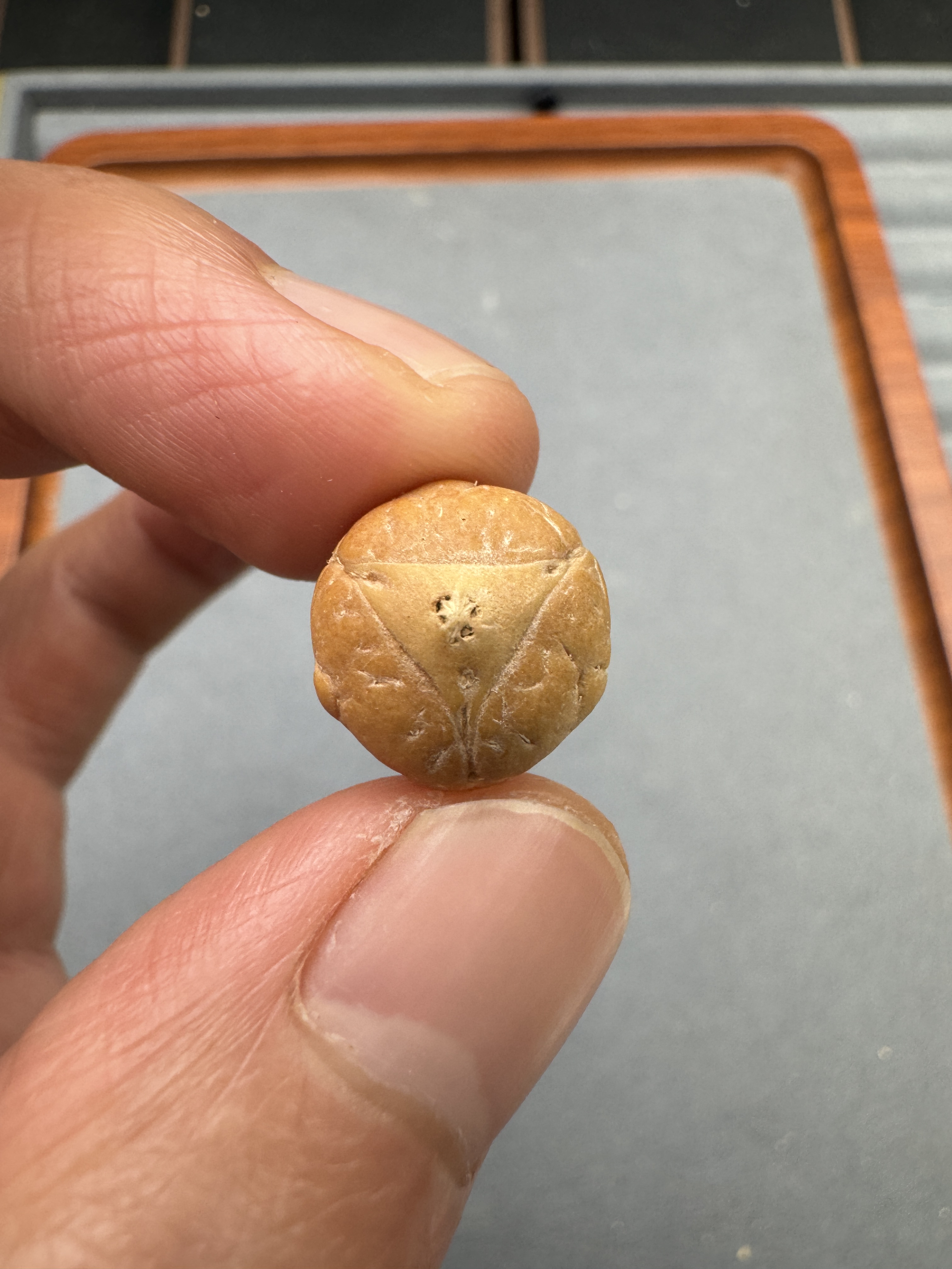 13+二茬是实心龙眼，凤眼菩提顶珠腰珠背云，开孔不退w0510