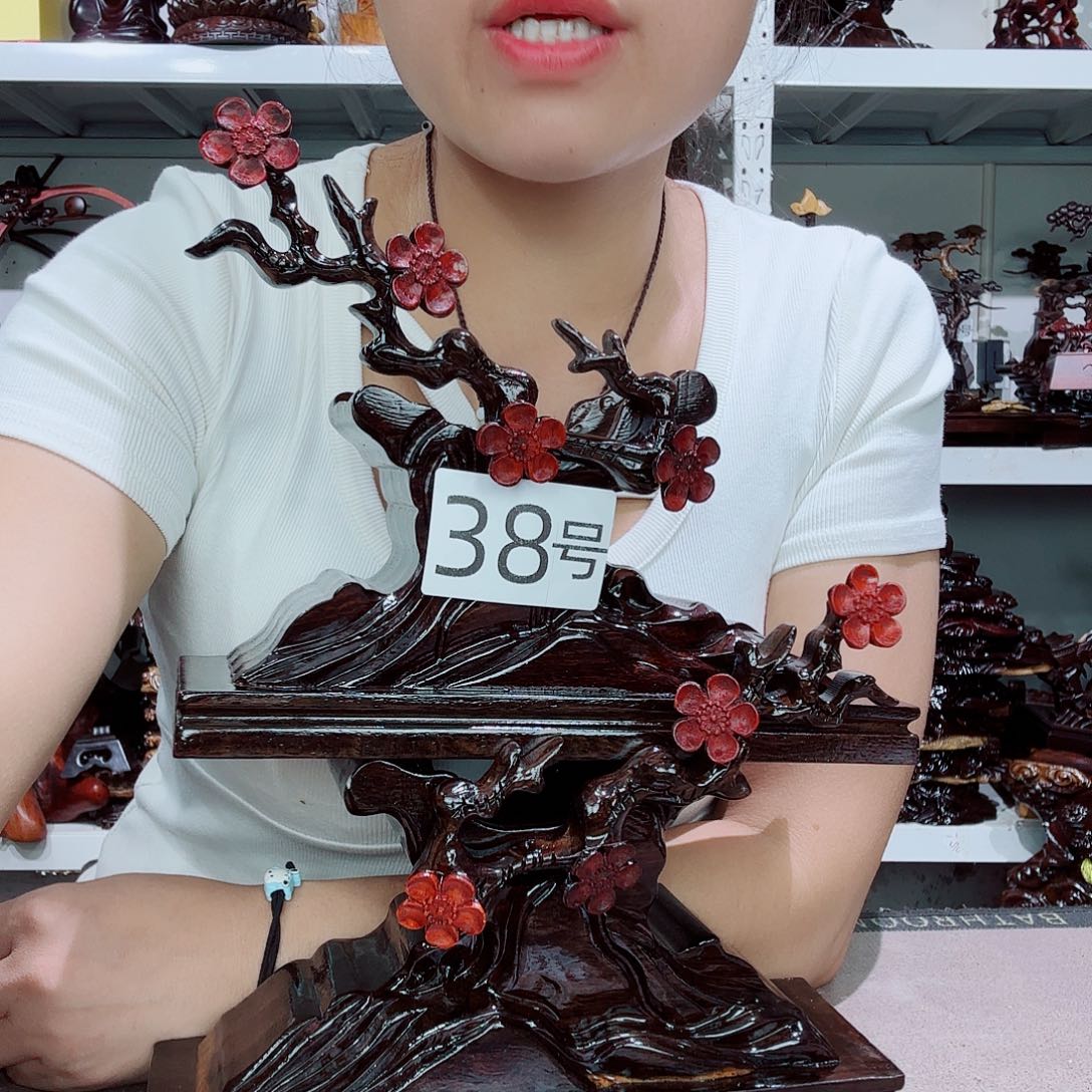 大果紫檀（缅甸花梨）38