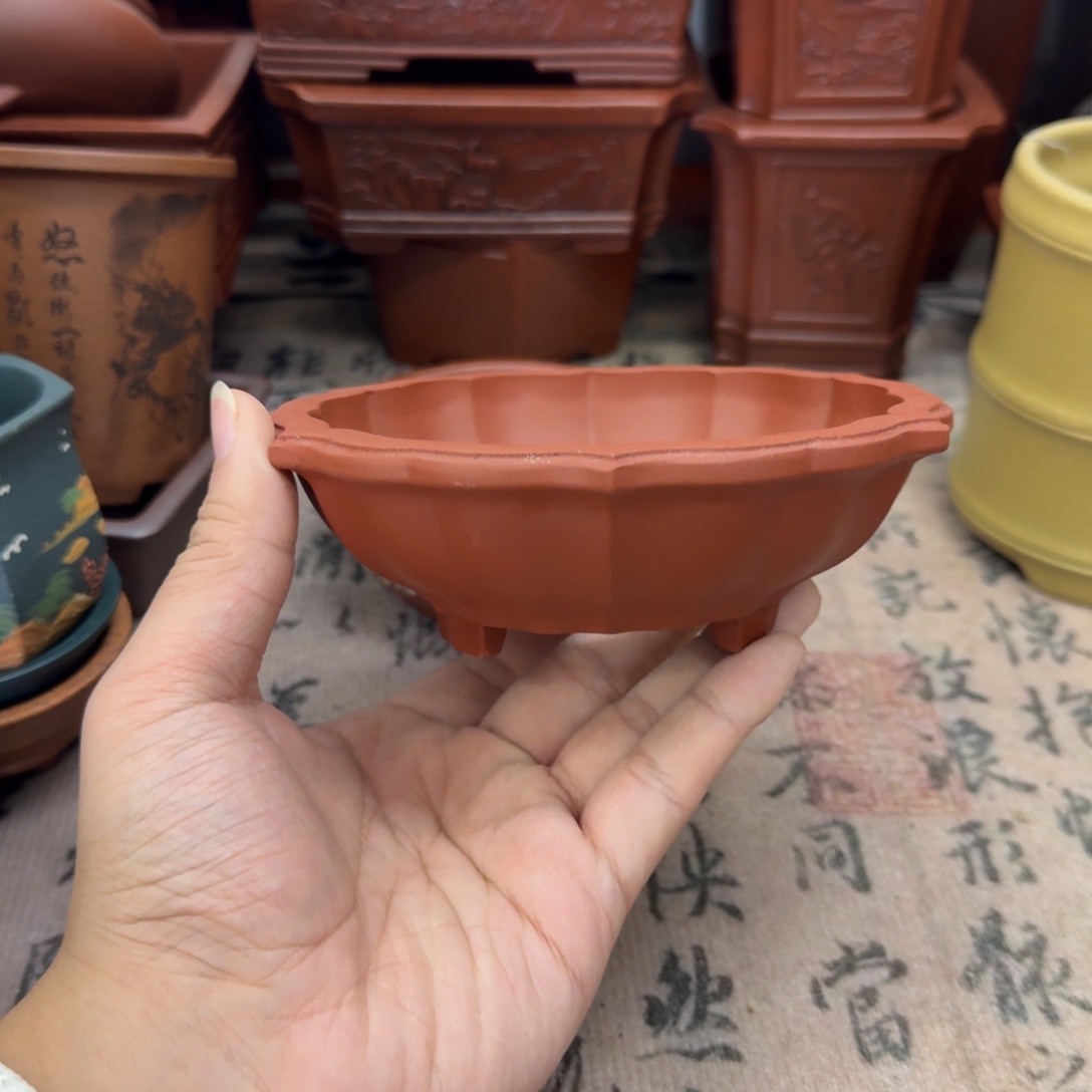 紫砂花盆宜兴紫砂正品12x3.5
