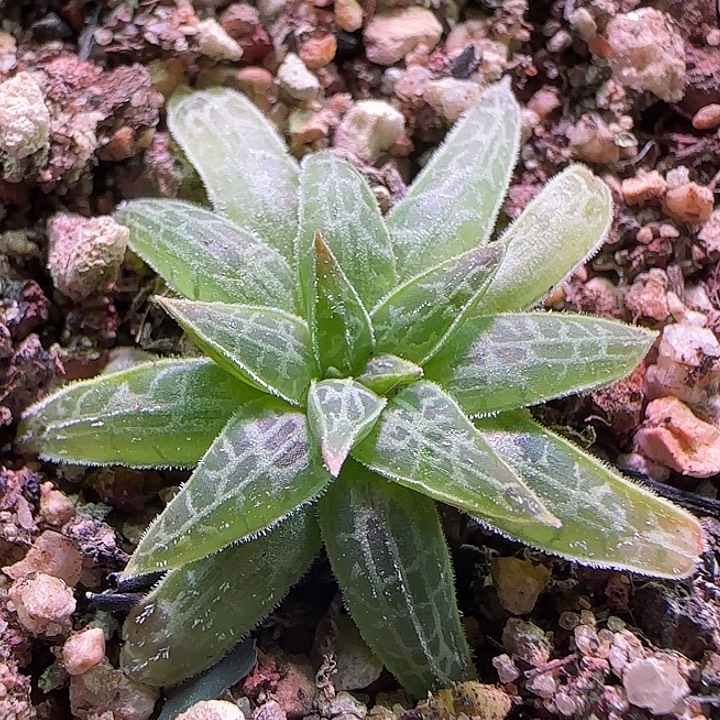 哈哈哈哈哈哈哈哈。