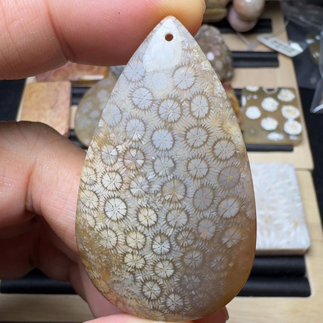 硅化珊瑚（珊瑚玉）未镶嵌纯天然色有机玉石保真色