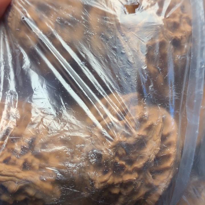 飞***觉文玩核桃吊坠核桃