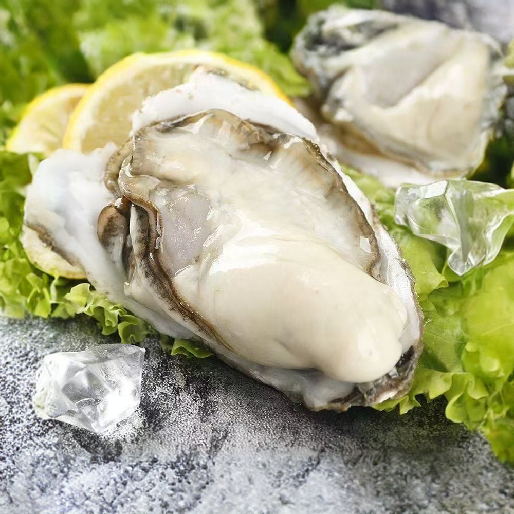 【1-8】10斤3-4两生蚝鲜活牡蛎新鲜超大特大肉海蛎子带箱海鲜刺身