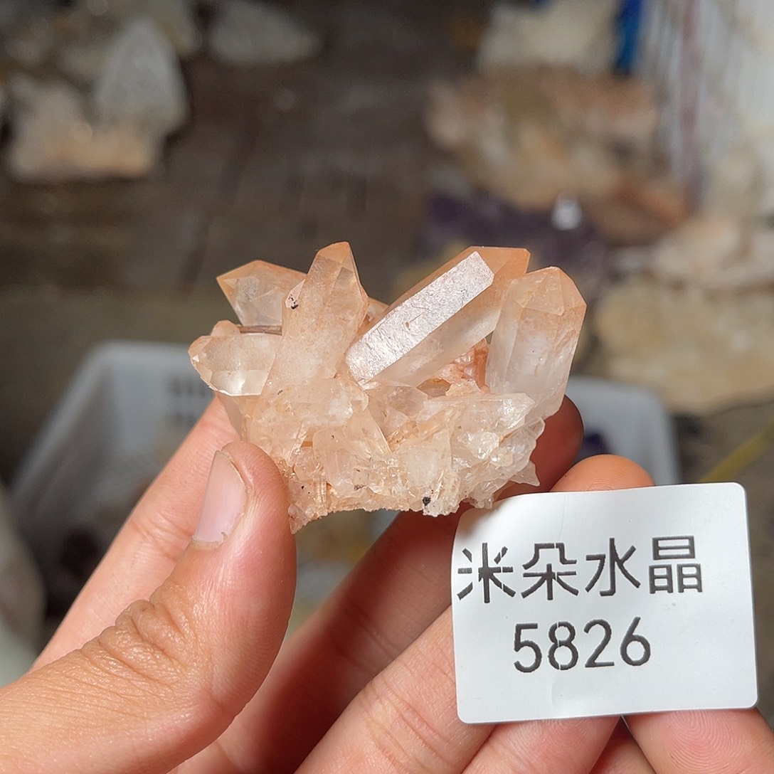 金***豆水晶珠宝半成品未镶嵌