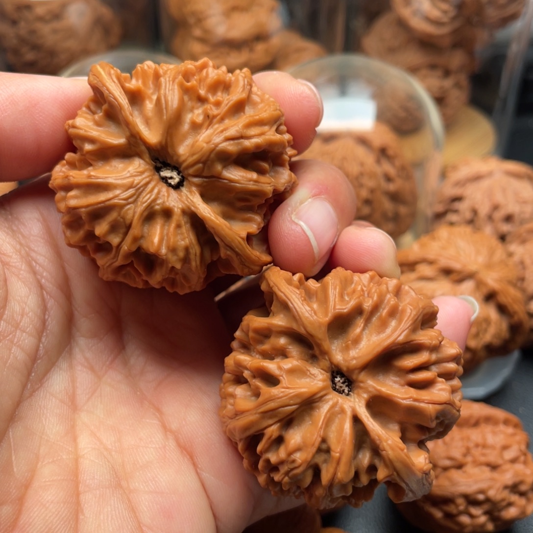 答***上吊坠猴头核桃苹果园