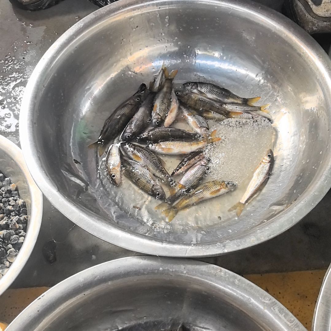 石台小李代购石班鱼2