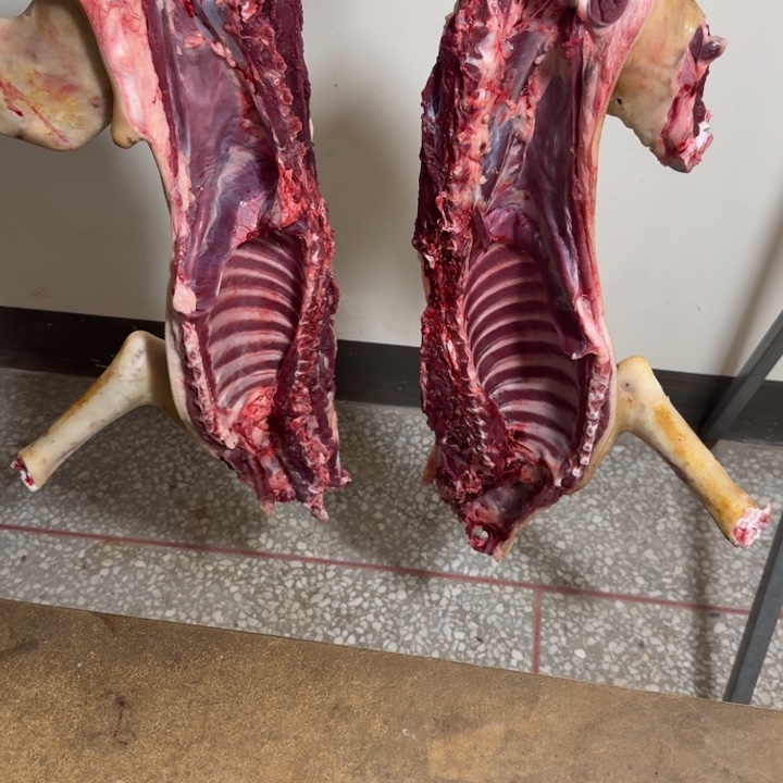 7天中国大陆鲜肉直播间（一物一拍，截图为准）