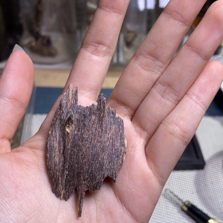 一***白沉香海南大山红油树心香