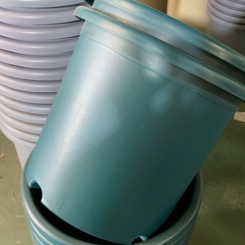 树脂四季9号军绿无托4个