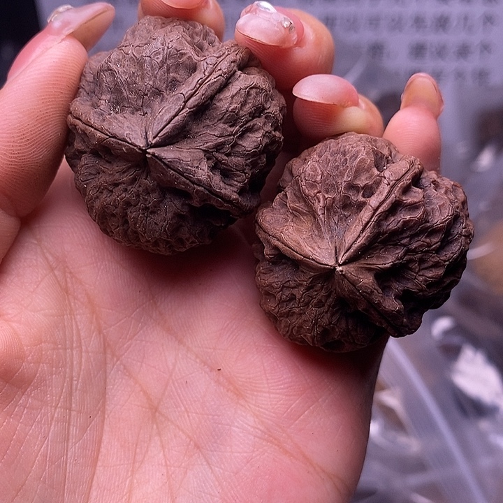 核桃云南野生铁核桃36号36mm