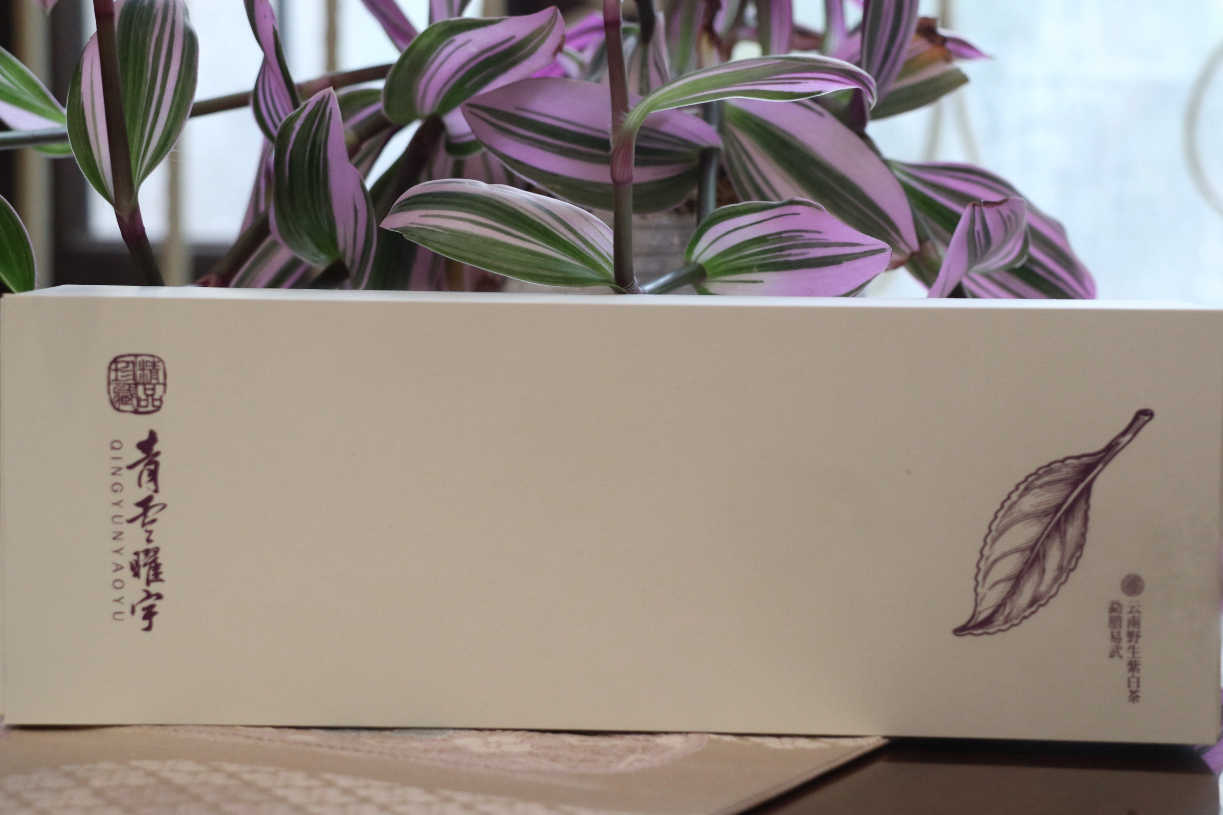 2025年云南野生古树紫芽白茶品鉴装/正装