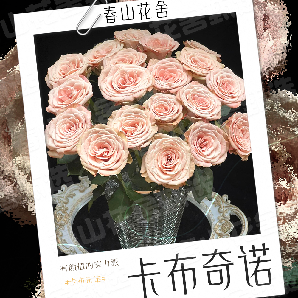 【卡布奇诺】多头玫瑰花丨云南直发拍两单发：顺丰或冷链(送货上门)