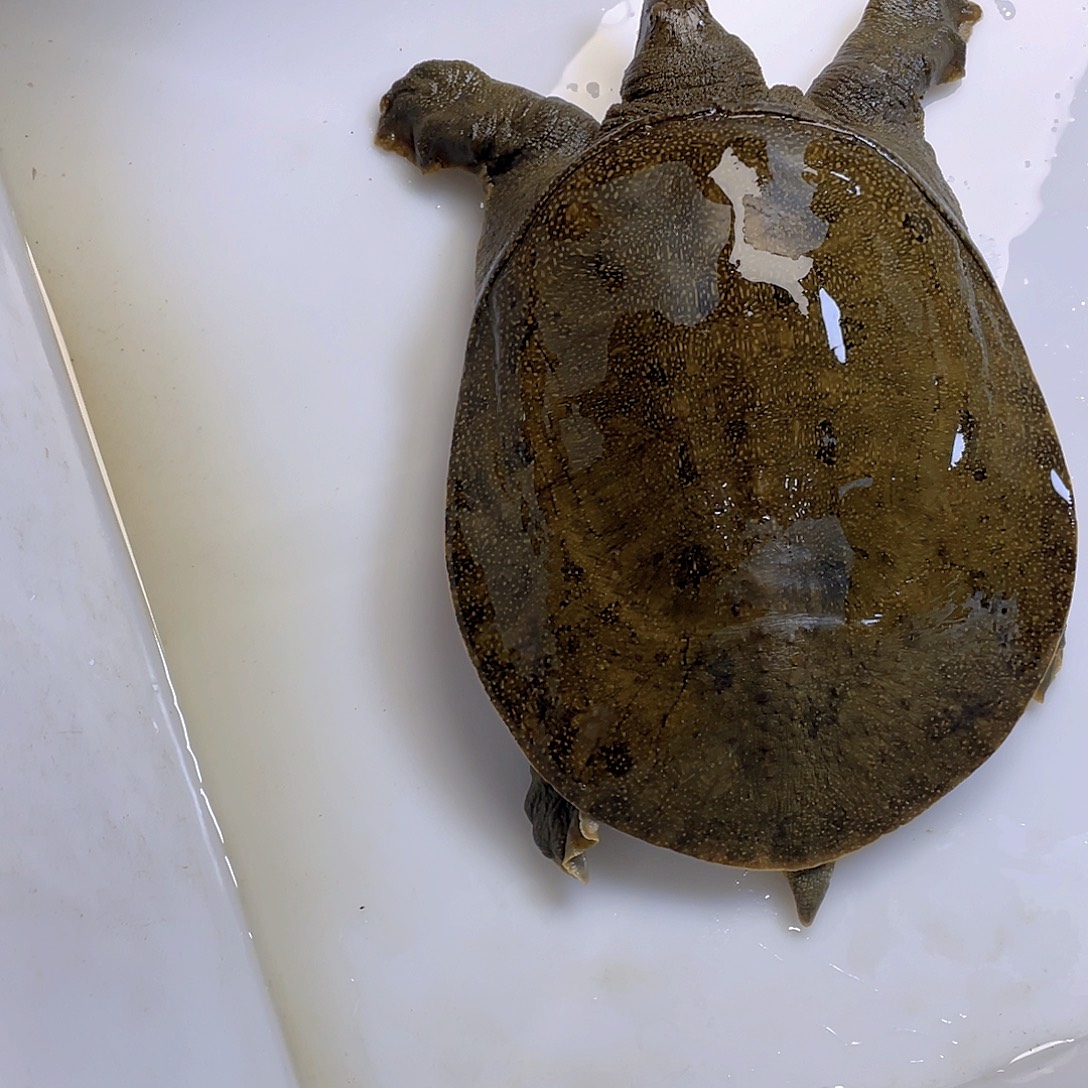 中国大陆12345678