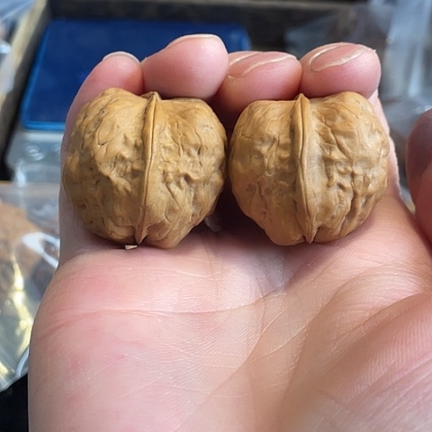 刘***了把件文玩核桃手捻嘎本豆带彩33