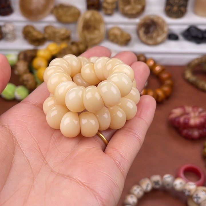 驼骨其他骆驼骨大肠12