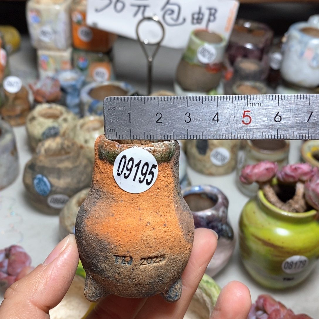 花盆拍3送一个小礼物