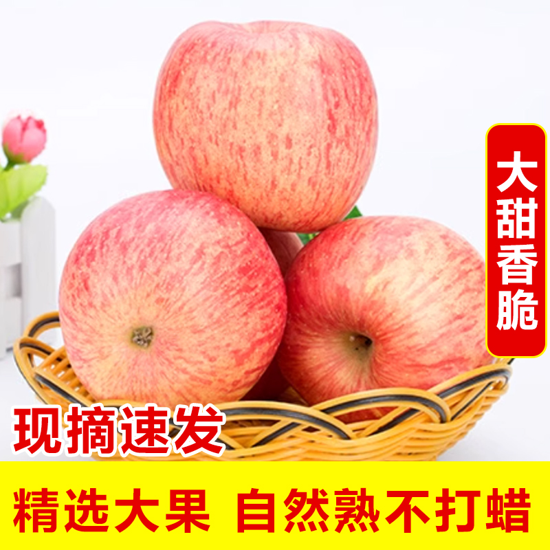 [京东发货]山东烟台栖霞条纹红富士苹果当季新鲜脆甜多汁多仓发货
