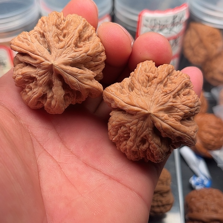 文玩核桃把件粗筋47