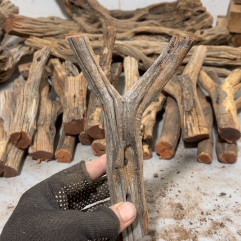 大果紫檀（缅甸花梨）老*鱼