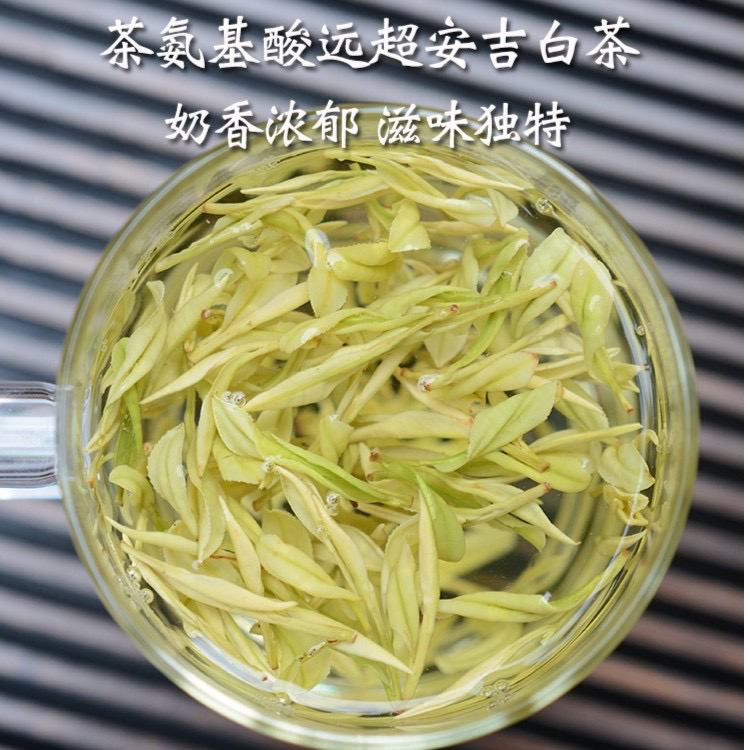 【母本熊猫】2025新茶 口粮奶香白茶 奶香馥郁 明前茶