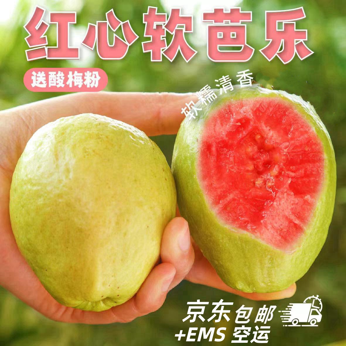 【收到放软吃】广西红心软芭乐净重3斤5斤番石榴新鲜水果