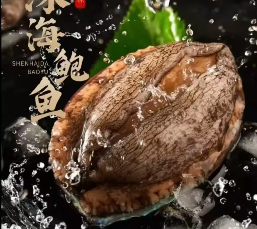 （顺丰冷链）大号鲍鱼肉4-6厘米  纯肉速冻 红烧炖肉 生鲜 海鲜水产