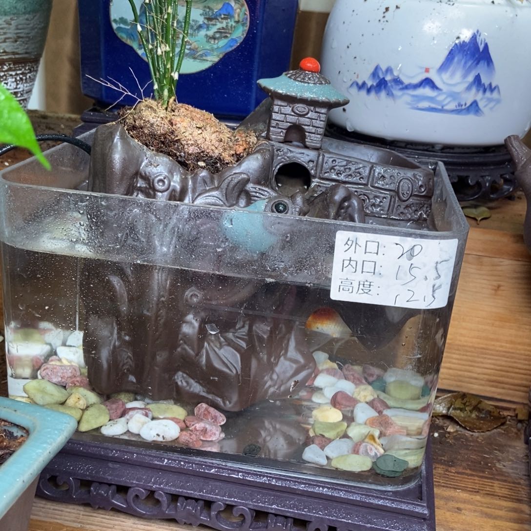 瓷片陶瓷花盆陶瓷艺术