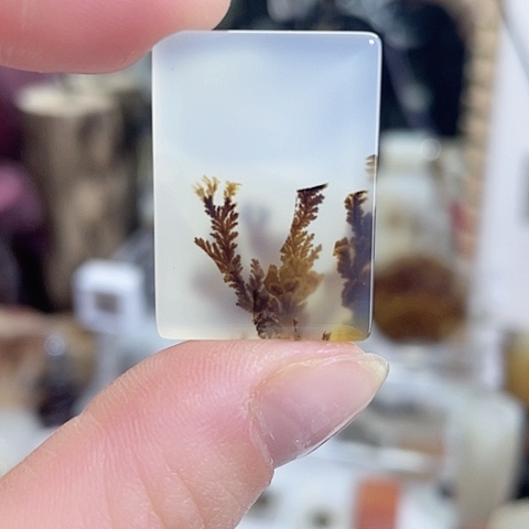 玛瑙/玉髓珠宝奇石未镶嵌