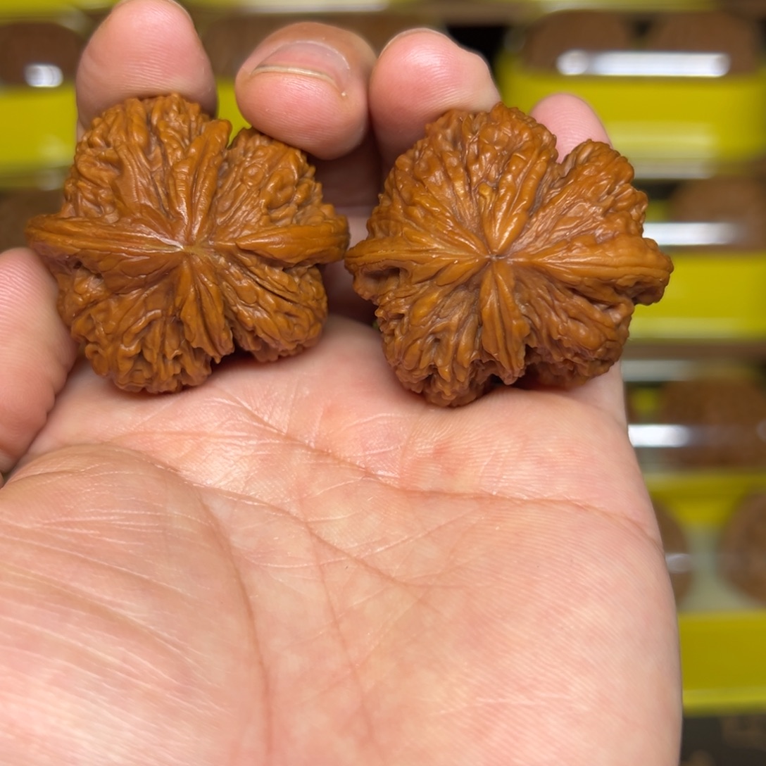 桃核吊坠怀抱子连体尺40