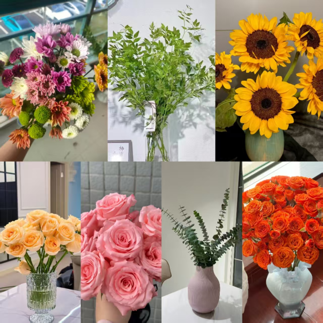 x【福利套餐组合5件套】鲜花玫瑰云南基地直发 一单包邮